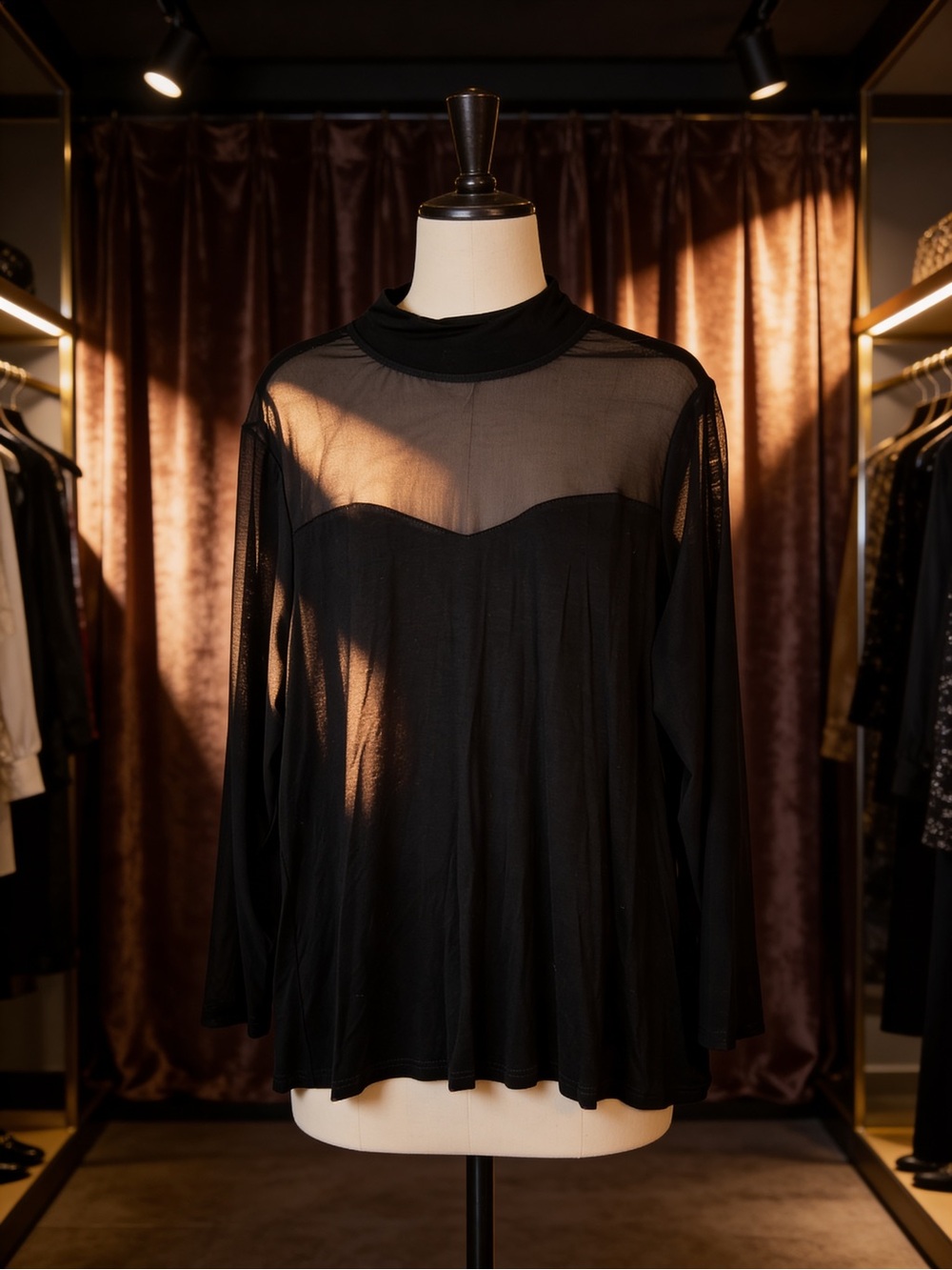 Sheer Mock Neck Long Sleeve Top in Black